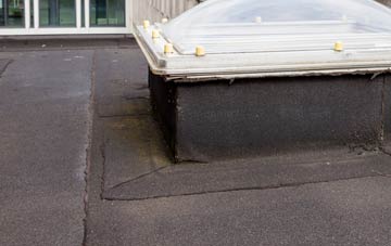 disadvantages of Holland Fen flat roofs